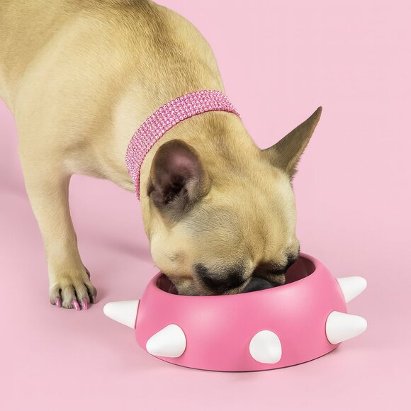 Luxury Eco-Friendly Modern Spiked Inclined Pet Bowl  - Made in Italy - Picture 6 of 7